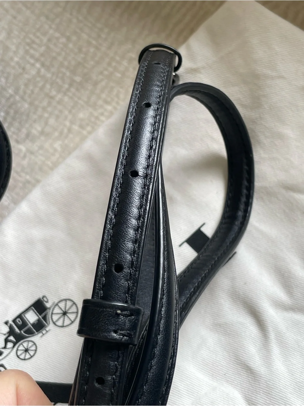 Coach 1941 Limited Edition Page Satchel/Crossbody with Butterfly Appliqués